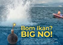 Ada Apa, Diduga Kades Tutup Mata , Pemboman Ikan Kembali Beraksi Di pulau Tanakeke Dusun Satangnga Kab Takalar