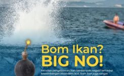 IMG-20220613-WA0009 IMG-20220613-WA0009