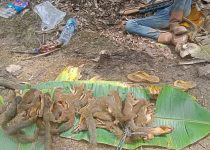 Aktivis Muda RI Cek Cok Dengan Pemburu Liar Di Wilayah Ponorogo Jawa Timur