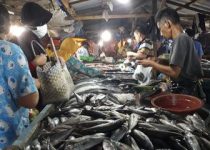 Terkait Dugaan Pelanggaran perjanjian oleh (Mitra KSP) di Pasar Ikan Balekambang,  Ini Yang Disampaikan Ketua LAPAAN RI