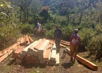 Berbekal PBB, Sejumlah Oknum Lakukan Penebangan Pohon Dalam Kawasan Hutan Adat
