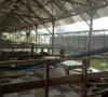 “Tanah WKO” di Soko: Klaim Hibah BUMDes Beda Cerita, Aktivis Minta BWS Turun Tangan