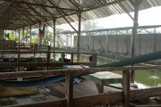 “Tanah WKO” di Soko: Klaim Hibah BUMDes Beda Cerita, Aktivis Minta BWS Turun Tangan “Tanah WKO” di Soko: Klaim Hibah BUMDes Beda Cerita, Aktivis Minta BWS Turun Tangan