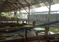 “Tanah WKO” di Soko: Klaim Hibah BUMDes Beda Cerita, Aktivis Minta BWS Turun Tangan