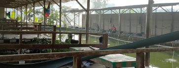 “Tanah WKO” di Soko: Klaim Hibah BUMDes Beda Cerita, Aktivis Minta BWS Turun Tangan