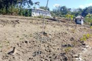 LAPAAN RI Soroti Dugaan Aliran Anggaran Hampir Rp1 Miliar ke Lahan Wisata Pribadi di Luar Wilayah Desa Kadipaten LAPAAN RI Soroti Dugaan Aliran Anggaran Hampir Rp1 Miliar ke Lahan Wisata Pribadi di Luar Wilayah Desa Kadipaten