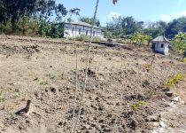LAPAAN RI Soroti Dugaan Aliran Anggaran Hampir Rp1 Miliar ke Lahan Wisata Pribadi di Luar Wilayah Desa Kadipaten