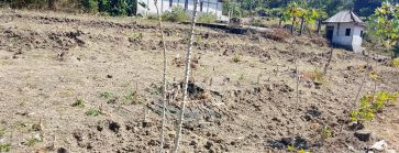 LAPAAN RI Soroti Dugaan Aliran Anggaran Hampir Rp1 Miliar ke Lahan Wisata Pribadi di Luar Wilayah Desa Kadipaten