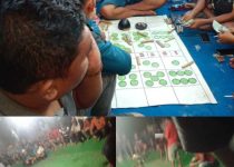 SAPU JAGAD Jatim Desak Kapolda dan Kapolres Tertipkan Perjudian di Kediri, dan Tangkap Oknum Yang Terlibat