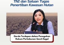 TNI dan Satuan Tugas Penertiban Kawasan Hutan Menjadi Garda Terdepan Dalam Penegakan Hukum Perkebunan Sawit Ilegal