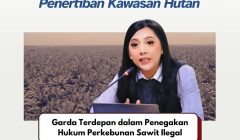 TNI dan Satuan Tugas Penertiban Kawasan Hutan Menjadi Garda Terdepan Dalam Penegakan Hukum Perkebunan Sawit Ilegal