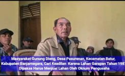 d1408906-8ad3-4010-aace-d2a2586fd523-696×391