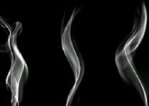 Faktor Budaya Pengaruhi Preferensi HPTL